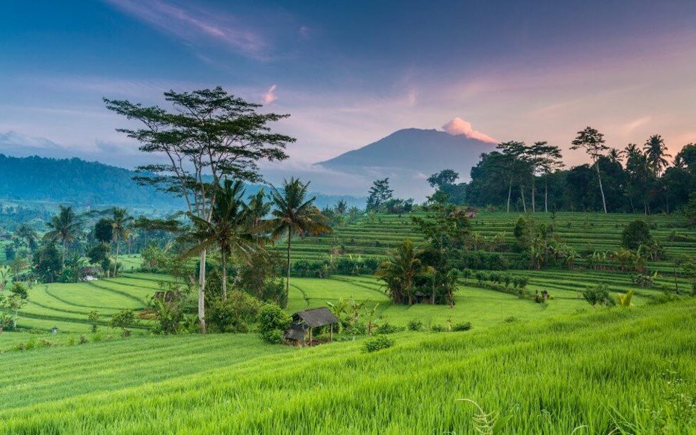 Bali landscape